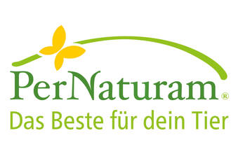 Logo HSG Kastellaun/Simmern
