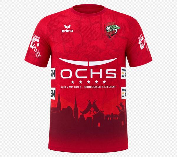 Fan-Trikot