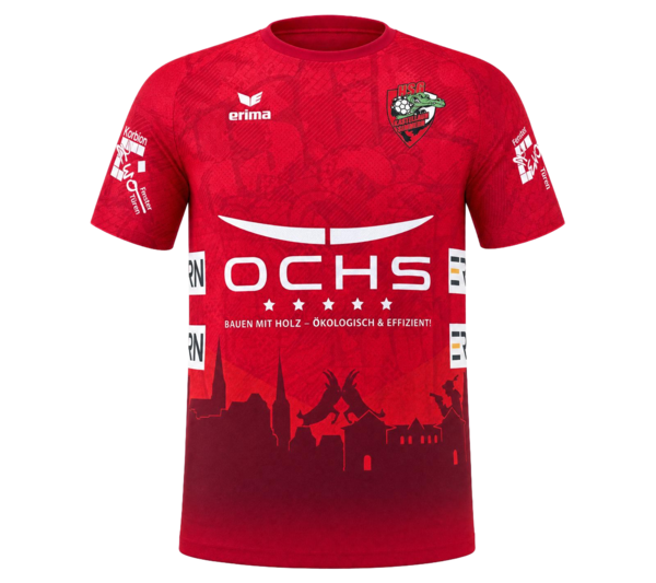 Fan-Trikot (Heim)